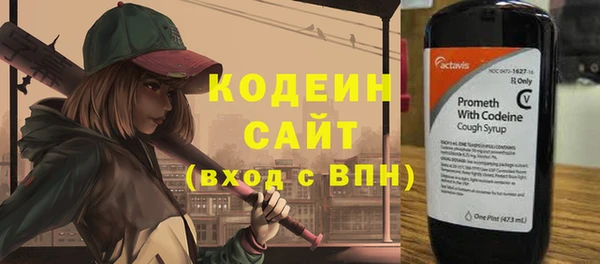 прущие грибы Балахна