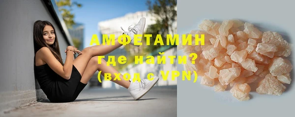 прущие грибы Балахна