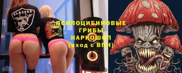 прущие грибы Балахна