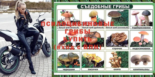 мяу мяу кристалл Переславль-Залесский