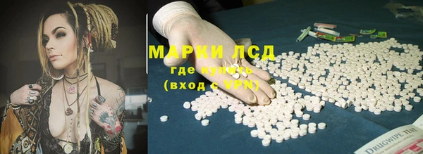 прущие грибы Балахна