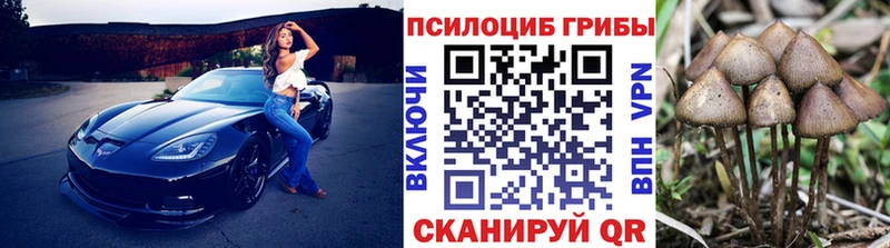 Псилоцибиновые грибы мухоморы  Купить где  Артёмовск 